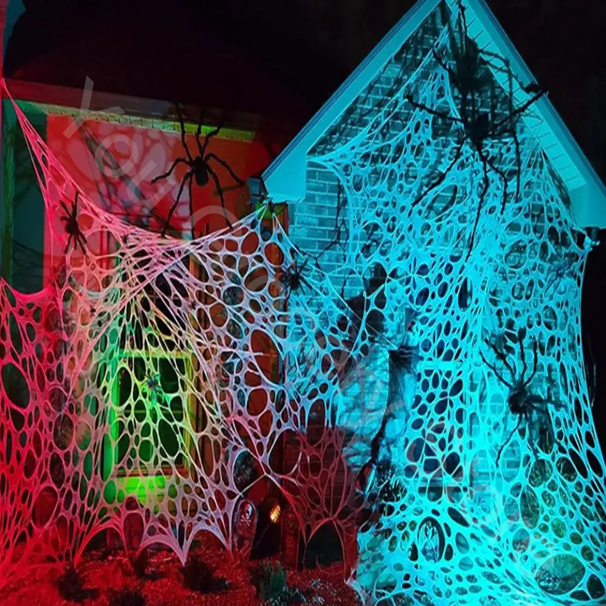 Giant Spider Web